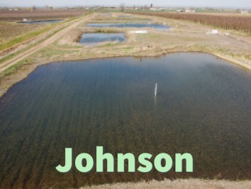 Johnson