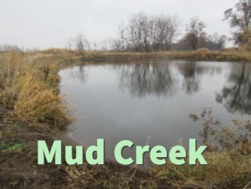 Mud Creek