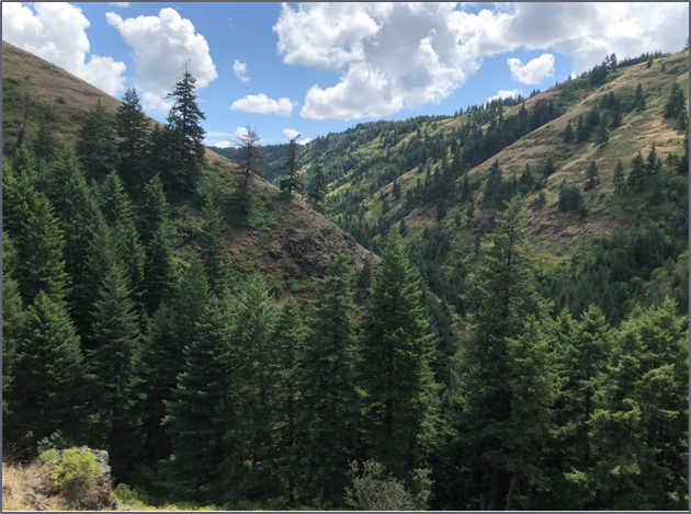Couse Creek Watershed Assessment